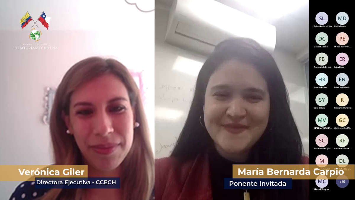 (+Video) Todo un éxito el Webinar sobre la Ley Orgánica para el Desarrollo Económico y Sostenibilidad Fiscal