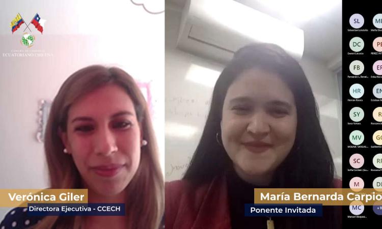 (+Video) Todo un éxito el Webinar sobre la Ley Orgánica para el Desarrollo Económico y Sostenibilidad Fiscal